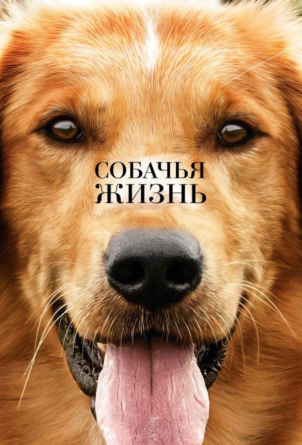 Фильм Собачья жизнь (2017) смотреть онлайн в качестве HD